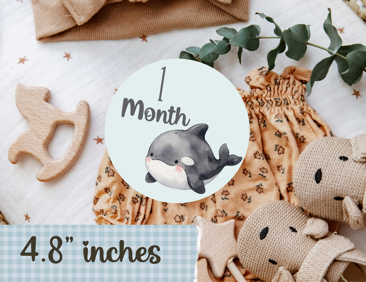 Baby Monthly Milestones Digital File Card, Ocean Baby Milestone Card Digital Download, plantillas.